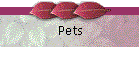 Pets